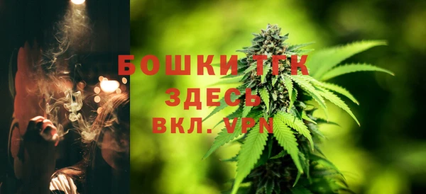 тгк Аркадак