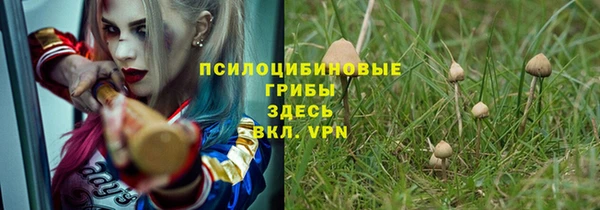 тгк Аркадак