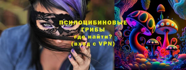 тгк Аркадак